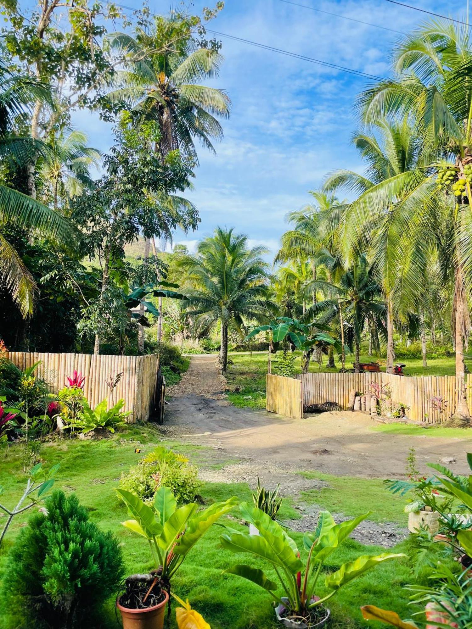 Casa Aguelo Chocolate Hills Bed & Breakfast Carmen  Exterior photo