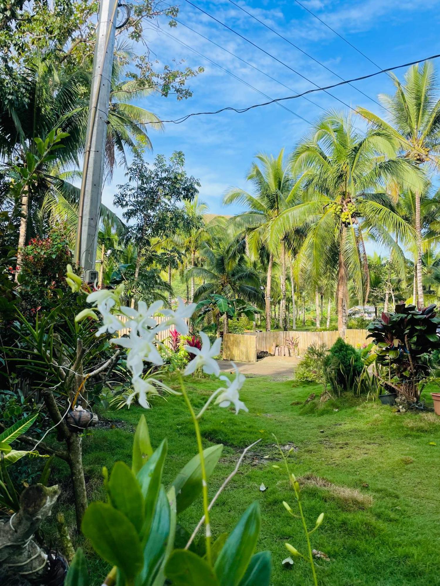 Casa Aguelo Chocolate Hills Bed & Breakfast Carmen  Exterior photo